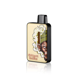 Heavy Hitter 2 Gram Disposable In Pakistan